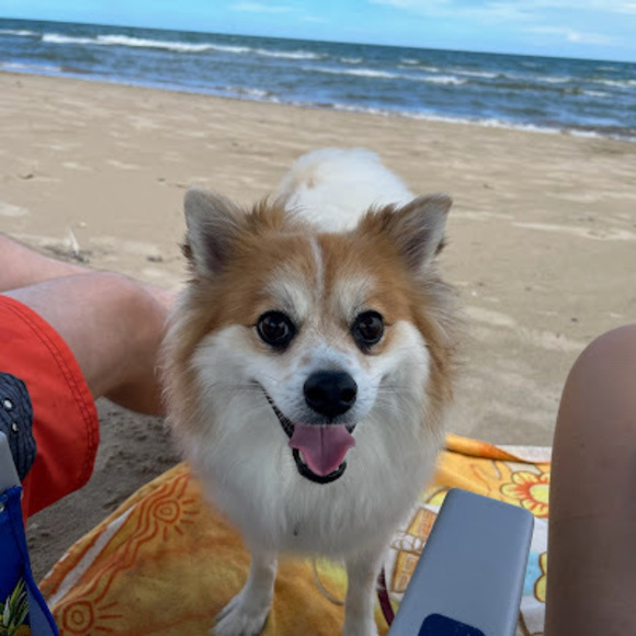 Meet your Posher, Kayla - Picture 1 of 1